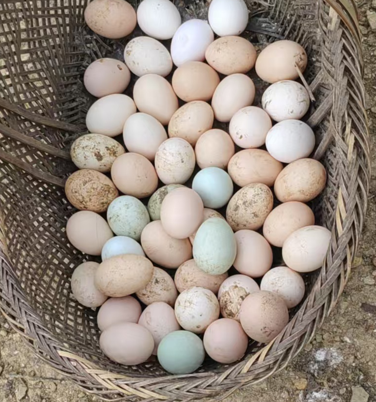 土鸡蛋