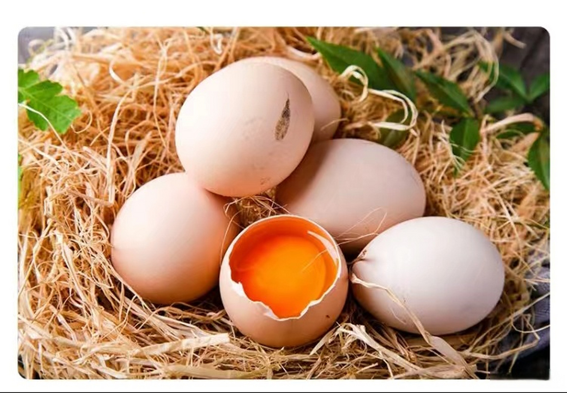 农家土鸡蛋